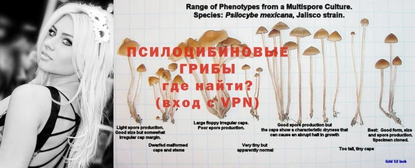 гашик Абдулино